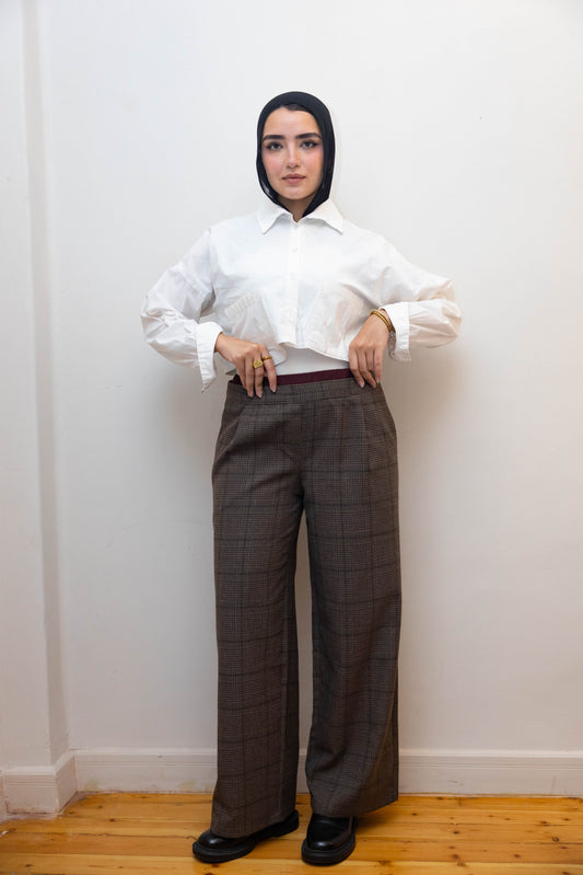 Brown plaid zara pants